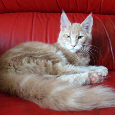 Barclay