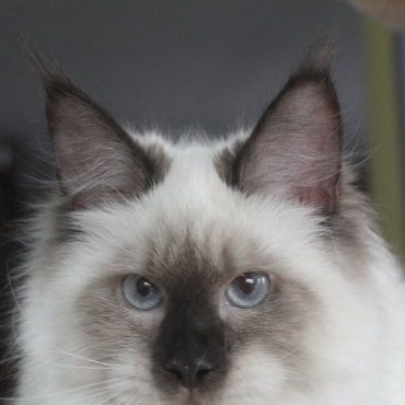 Fiona is beautiful